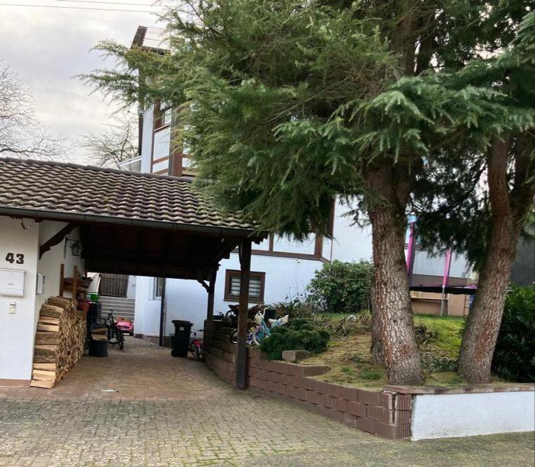 Rheindomizil 43 Karsau